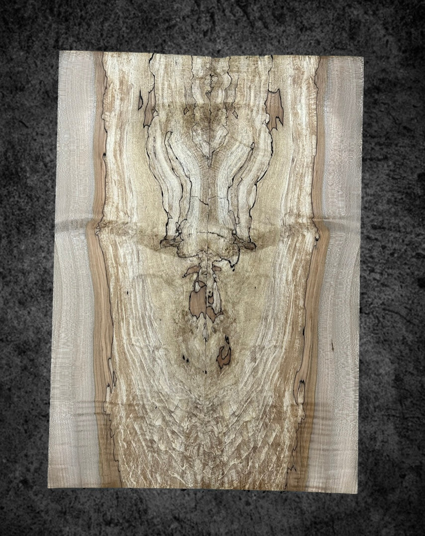 Spalted Big Leaf Flame Maple Drop-Top #45